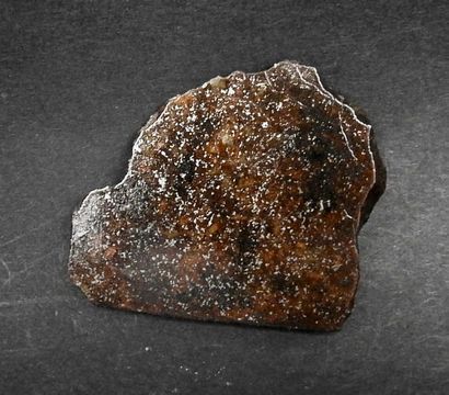 null Tranche de météorite chondrite H5/6 provenant pour certains de l'astéroïde Vesta...