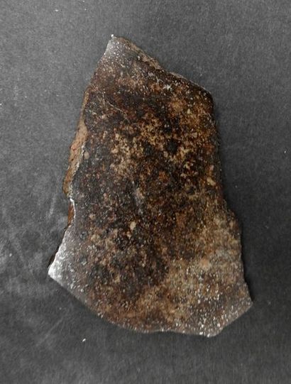 null Tranche de météorite chondrit(e très riche en chondres.L:env 8cm.Env 25g.
Tombée...