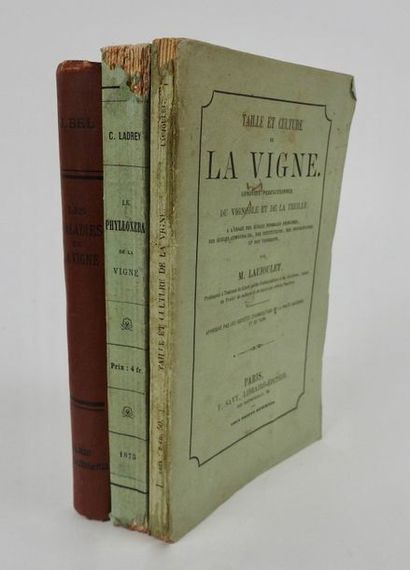 null LADREY, C. Le Phylloxera, Histoire de la nouvelle maladie de la Vigne. Paris,...
