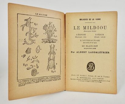 null LARBALÉTRIER, Albert. Maladies de la Vigne - le Mildiou, l’Érinose, l’Oïdium,...