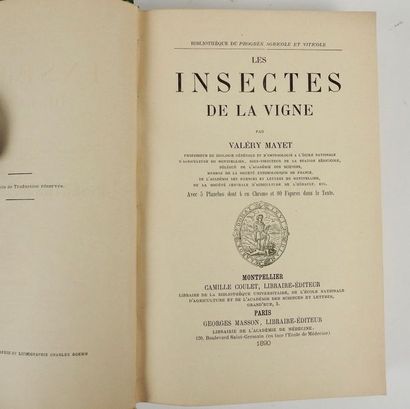 null MAYET, Valéry. Les Insectes de la vigne…

Montpellier, Camille Coulet ; Paris,...