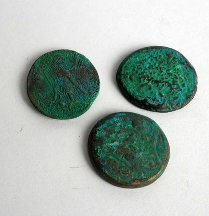 null Ensemble de trois monnaies ptolémaiques de grande taille en bronze fortement...