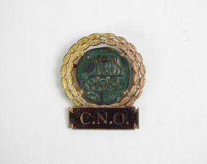 null CNO Badge en bronze patiné cartouche émaillé parme
52 x 45 mm