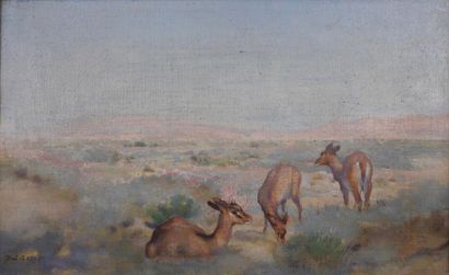 Paul Alexandre LEROY (1860-1942) Biches dans les champs
Huile sur toile signée en...