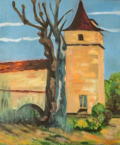 null RAY LE PIGEONNIER 2019 Huile sur toile 46 x 38 cm
