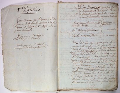 null DIJON (21). Famille noble AIGNEAU OU LAIGNEAU. Cahier manuscrit de 154 pages...