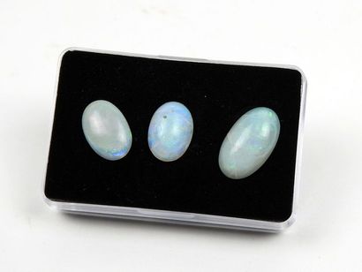 Set of three opal cabochons

2, 3.5 and 4.8...