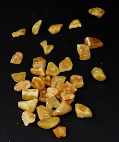 Ancient yellow honey amber. About 40 million...