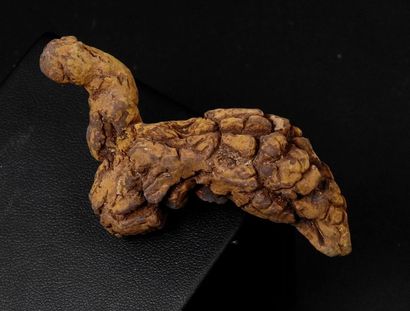 Coprolite: Excrement of a small reptile from...