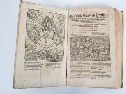 null PETRARQUE: Dorrebe auff das erte buch francisci Petrarche von gutem Gluck…Franckfurt...