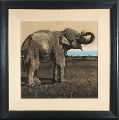 Antonio Segui (Né en 1934) Eléphant, 1973
Technique mixte sur toile de lin signée...