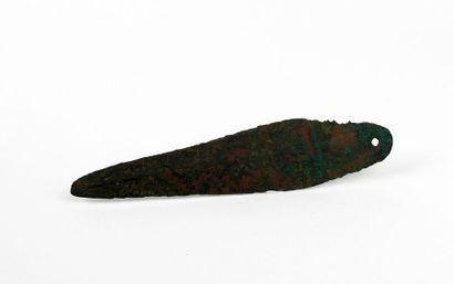 null Grande lame de poignard à trou de rivet

Bronze 15 cm

Protohistoire française...