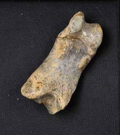 null Fossil bear bone amulet

curious would have been found in 

Austria Hungary...