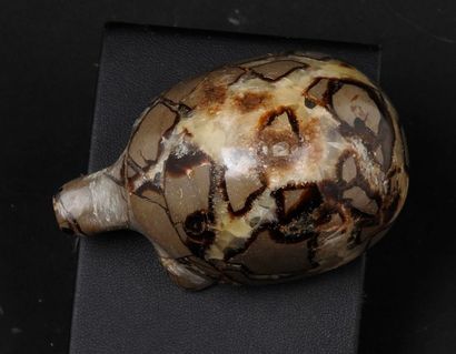 null Turtle.Septaria nodule of geodesic retraction.L :9cm.