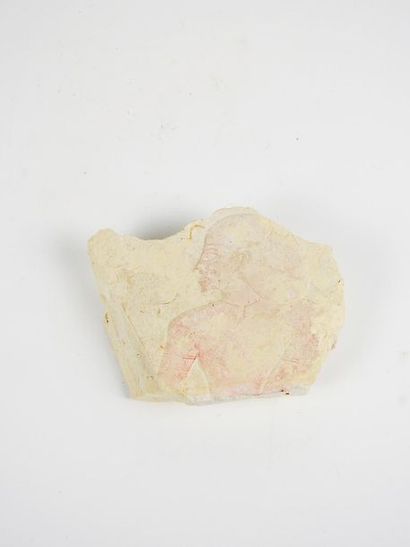 null Bas relief en calcaire
Restes de polychromie
Style pharaonique
L 14 cm