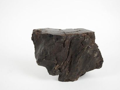 null Lignite, pseudomorphose fossile botanique.
H 17, 5 cm