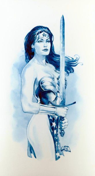 null LAGO Ray

Wonder Woman

Encre de chine et lavis, dessin signé en bas à droite

28...