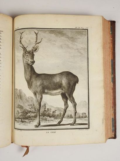 null BUFFON: General and particular natural history. Royal Printing Office, 1749-1786....