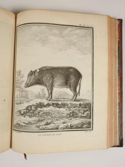 null BUFFON: General and particular natural history. Royal Printing Office, 1749-1786....