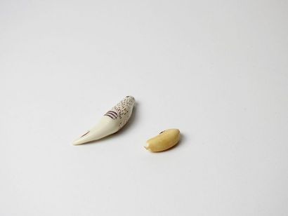 null Curiosité.Perle qui est probablement du coroso,noix du Brésil en forme de dent...