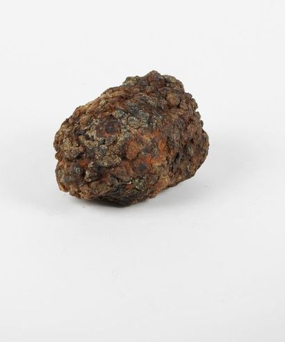 null Pallassite météorite en ferronickel à grains d’olivine formés durant son voyage...