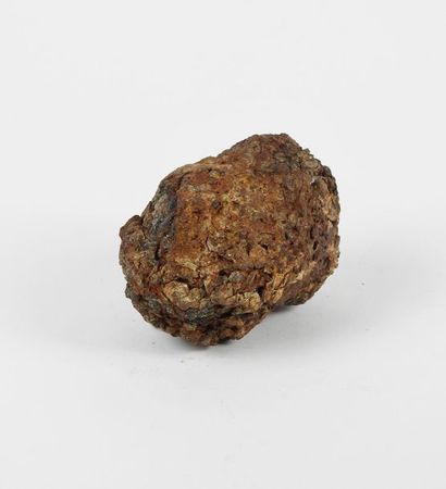 null Pallassite météorite en ferronickel à grains d’olivine formés durant son voyage...