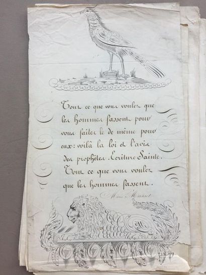 null [CALLIGRAPHIE] Réunion de 9 grandes planches du XIX siècle: manuscrits présentant...