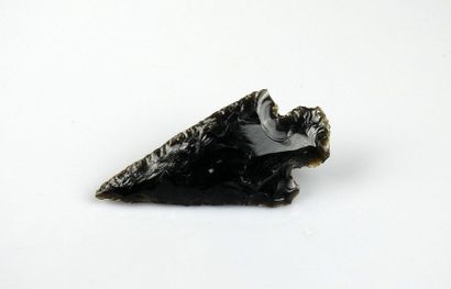null Grande flèche à pédoncule et ailerons

Obsidienne 7.3 cm
