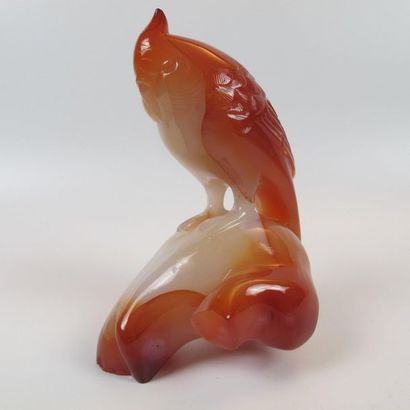 Asie. Chine. Composition en agate cornaline sculptée d'un perroquet perché sur une...