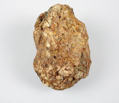 null Grande météorite Pallasite.Ferronickel à olivine.
L : 12 cm.