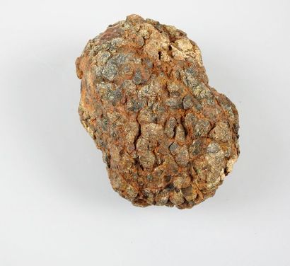 null Grande météorite Pallasite.Ferronickel à olivine.
L : 12 cm.