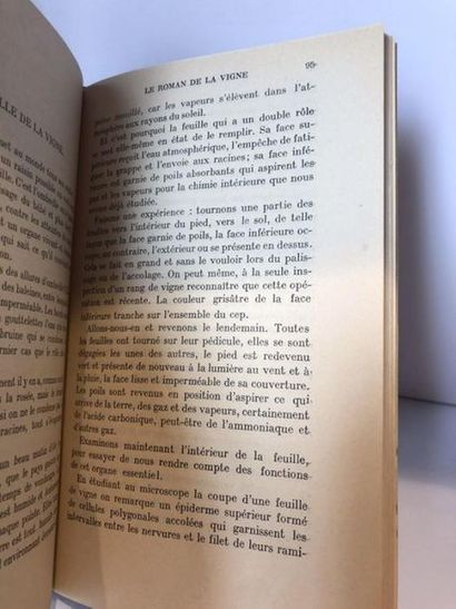 lefevre charles charles lefevre, le roman de la vigne.

Ouvrage édité à Bordeaux,...