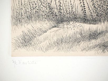 KIYOSHI HASEGAWA Kiyoshi HASEGAWA

Un jeune arbre, 1953



Gravure originale sur...