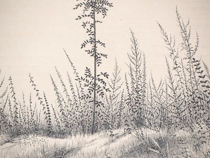 KIYOSHI HASEGAWA Kiyoshi HASEGAWA

Un jeune arbre, 1953



Gravure originale sur...