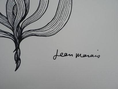 Jean MARAIS Jean MARAIS (1913 - 1998)

Visage végétal



Lithographie sur canson...