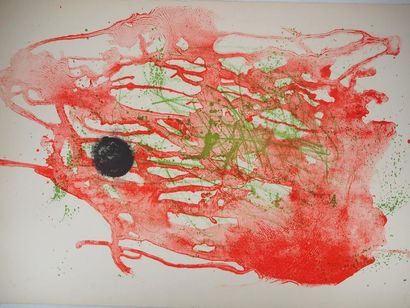 Joan Miro Joan Miro (1893-1983)

Série I : Lavis Rouge, 1961



Lithographie originale

Signée...