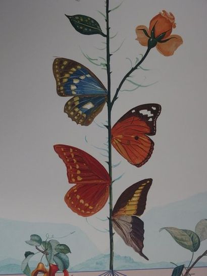 Salvador DALI Salvador DALI

Flordali II, The pink butterfly, 1981



Lithograph...