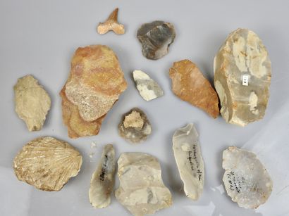 null Prehistory.various tools.

Anc collection XIX-XXès Févrille.