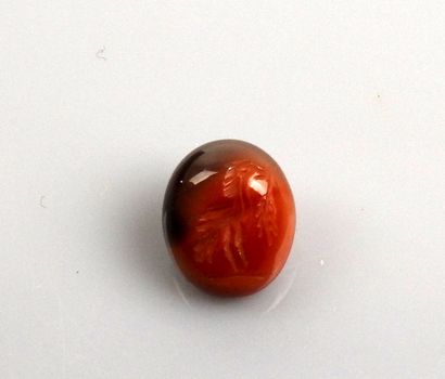 null Intaglio representing a wader holding an ear of wheat in its beak

Agate 1.3...