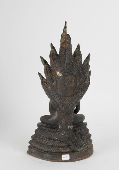 null Bouddha protégé par les serpents nagas assis sur un trône lotiforme en méditation.

H...