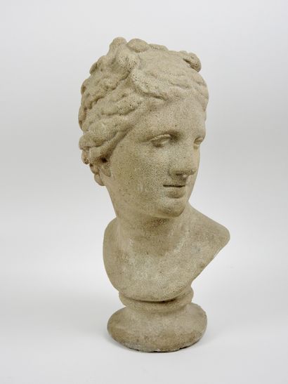 null Buste représentant Vénus en pierres reconstituées 

Style antique 

H 40 cm

Patine...