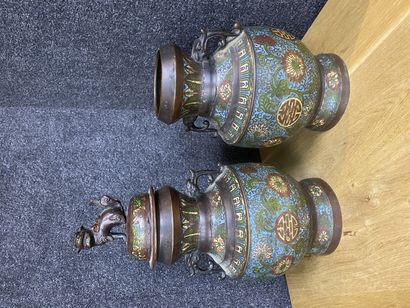 null 
Chine

Paire de vases en bronze cloisonné, marque au revers

H 44 cm

Manque...