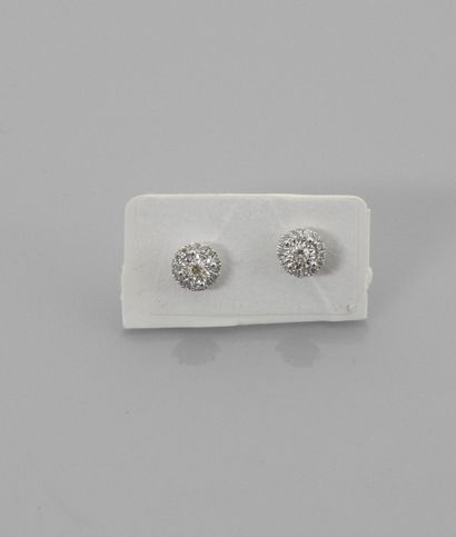 Round earrings in white gold, 750 MM, covered...