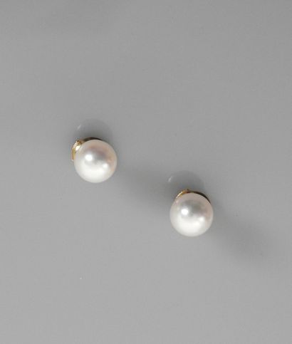 null Yellow gold earrings, 750 MM, each adorned with a pearl of Japan, diameter 8/8,5...