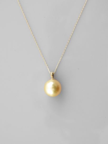 null Chaîne et pendentif en or jaune, 750 MM, portant une perle de culture Gold des...