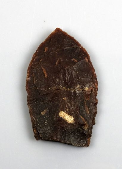 null Important fragment de lame de Solutré

Silex brun rouge 10,3 cm Restauration...