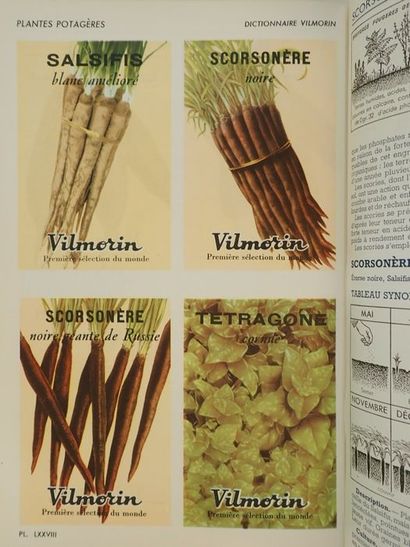 null Vilmorin.Dictionnaire Vilmorin des plantes potagères. Paris, Vilmorin-Andrieux,...