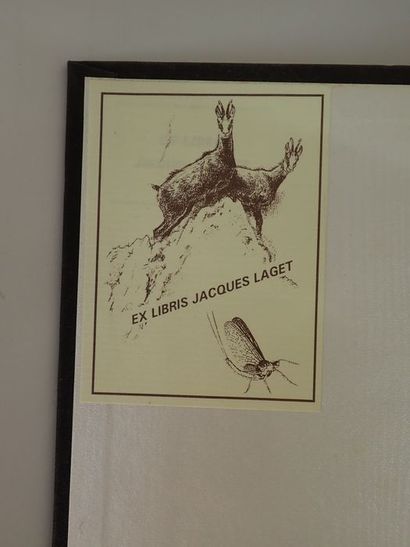  Adhémar (Jean), Seguin (Jean Pierre)?.Le Livre romantique. Paris, Editions du Chêne,...