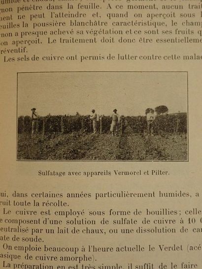  Arveuf, L..Petit manuel de l'agriculteur et du viticulteur du sud-ouest. Préparation...