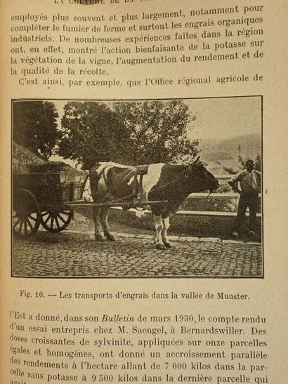  Brunet, Raymond.Le Vignoble et Les Vins d'Alsace?. Paris, J.-B. Baillière Fils,...